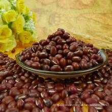 High qualtiy small round red bean